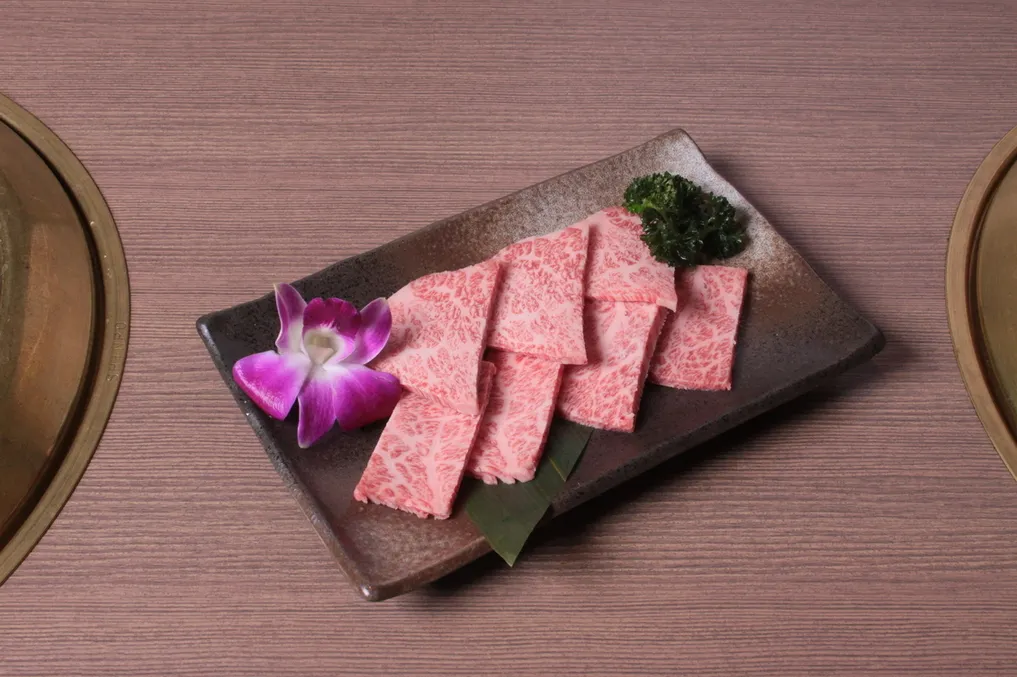 バナー画像 16